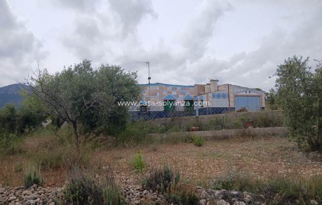 Wiederverkauf - Country Property/Finca - Yecla - Inland