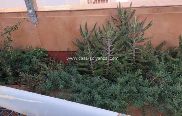 Wiederverkauf - Wohnung - Torrevieja - La Mata