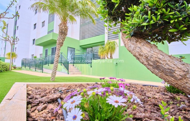 Revente - Appartement - Mil Palmeras - Costa Blanca