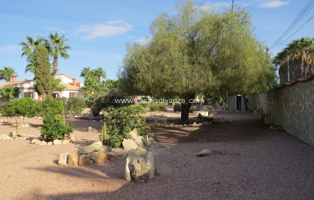 Revente - Country Property/Finca - Daya Vieja - Costa Blanca