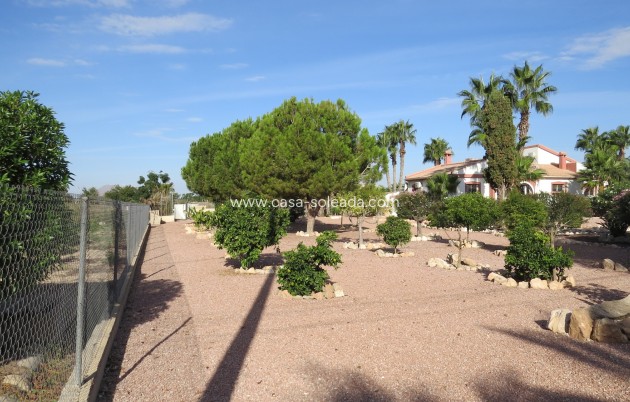 Revente - Country Property/Finca - Daya Vieja - Costa Blanca