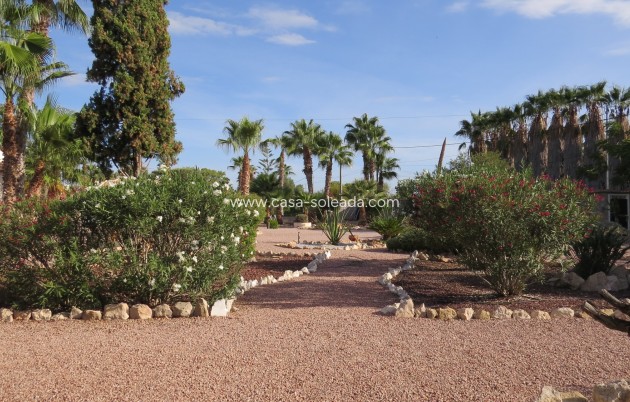 Revente - Country Property/Finca - Daya Vieja - Costa Blanca