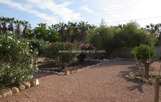 Revente - Country Property/Finca - Daya Vieja - Costa Blanca