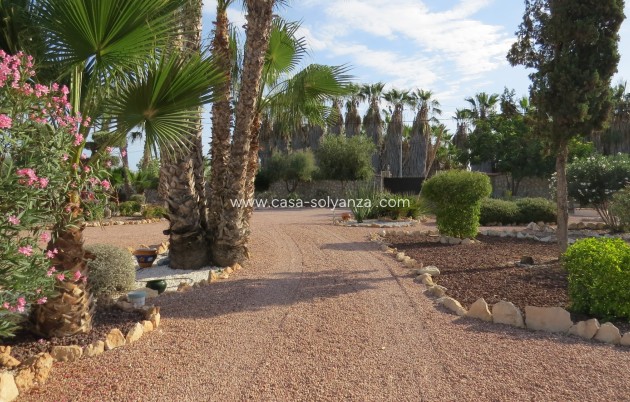 Revente - Country Property/Finca - Daya Vieja - Costa Blanca