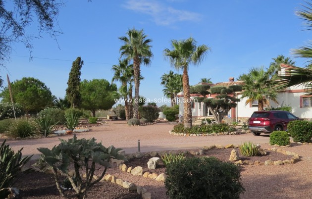 Revente - Country Property/Finca - Daya Vieja - Costa Blanca