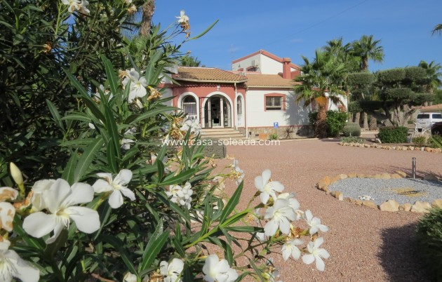 Revente - Country Property/Finca - Daya Vieja - Costa Blanca