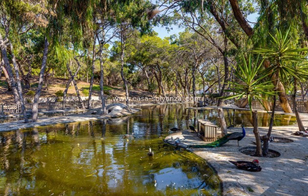 Revente - Appartement - Guardamar del Segura - Costa Blanca