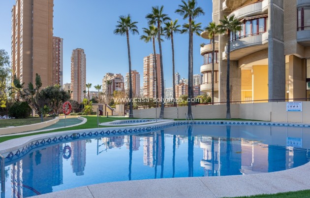 Revente - Appartement - Benidorm - Costa Blanca