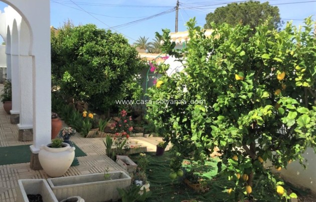 Revente - Maison de ville - Torrevieja - Costa Blanca