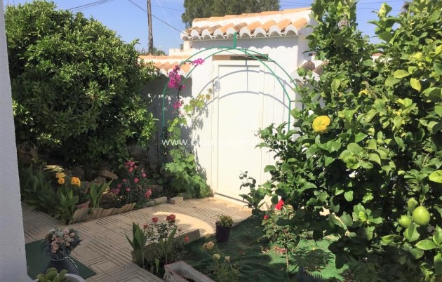 Revente - Maison de ville - Torrevieja - Costa Blanca