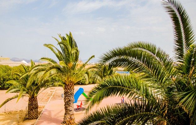 Revente - Appartement - Torrevieja - Costa Blanca