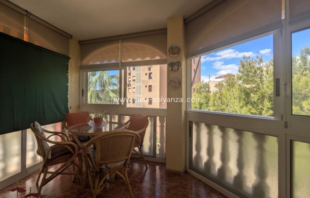 Reventa - Apartamento / piso - Benidorm - Costa Blanca