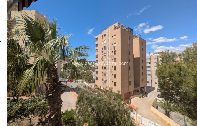 Reventa - Apartamento / piso - Benidorm - Costa Blanca