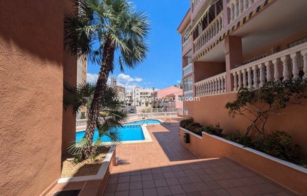 Reventa - Apartamento / piso - Benidorm - Costa Blanca