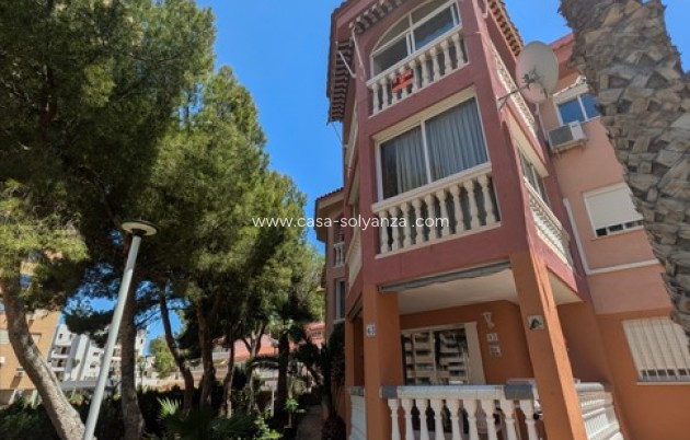 Reventa - Apartamento / piso - Benidorm - Costa Blanca