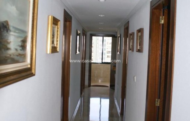 Herverkoop - Appartement / flat - Benidorm - Costa Blanca