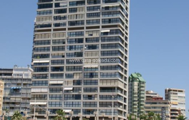 Herverkoop - Appartement / flat - Benidorm - Costa Blanca