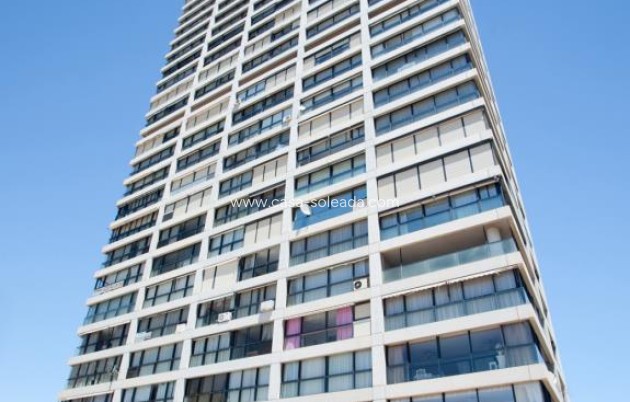 Herverkoop - Appartement / flat - Benidorm - Costa Blanca