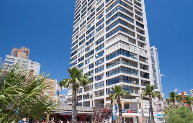 Herverkoop - Appartement / flat - Benidorm - Costa Blanca
