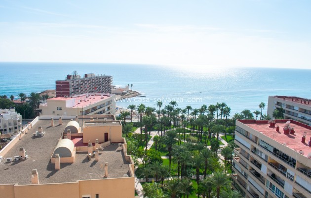 Revente - Appartement - Torrevieja - Playa de los Locos