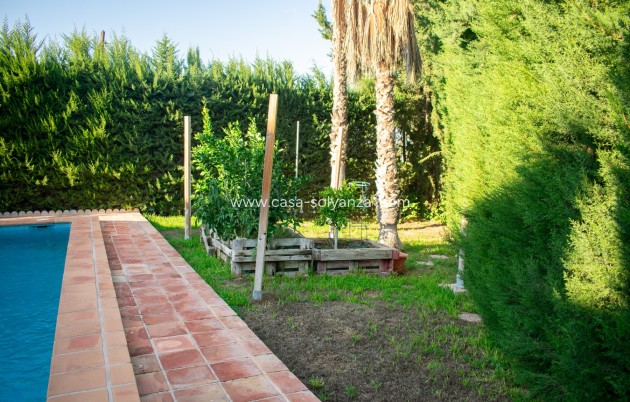 Revente - Independent villa - Molina de Segura - Torre de Cotillas