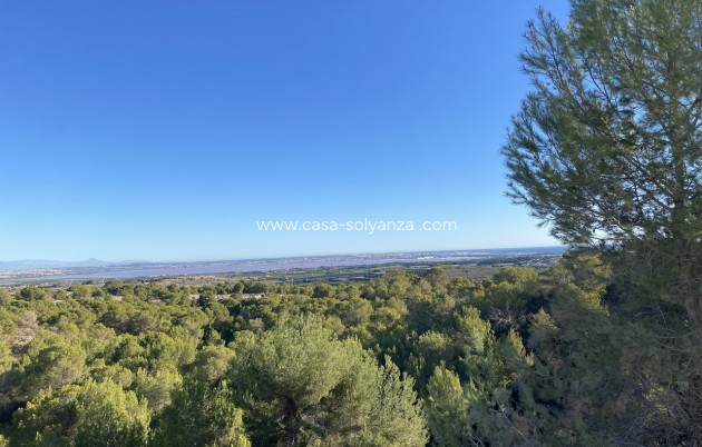 Resale - Villa - San Miguel de Salinas