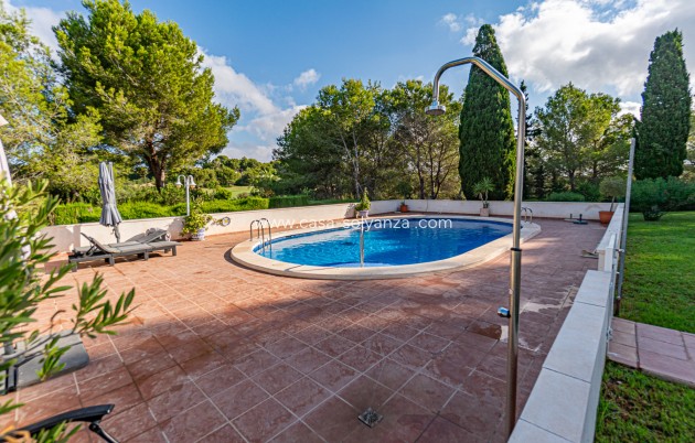 Wiederverkauf - Wohnung - Villamartin - Villamartín