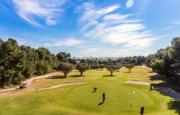 Wiederverkauf - Wohnung - Villamartin - Villamartín