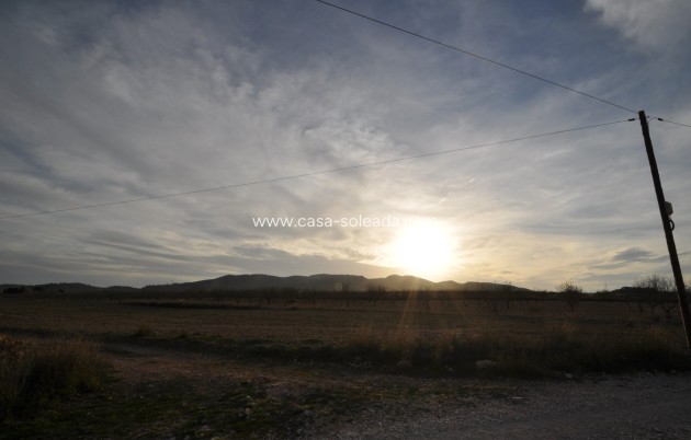 Revente - Land - Abanilla - Inland