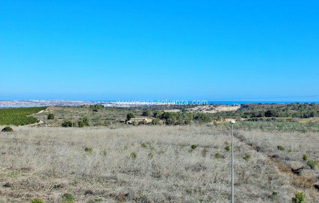 Wiederverkauf - Stadthaus - San Miguel de Salinas