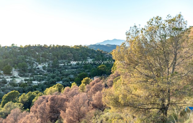 Obra nueva - Apartamento / piso - Finestrat