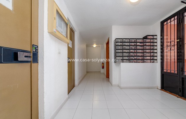 Revente - Appartement - Torrevieja - Center