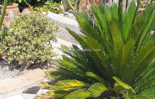 Revente - Villa - Macisvenda - Inland