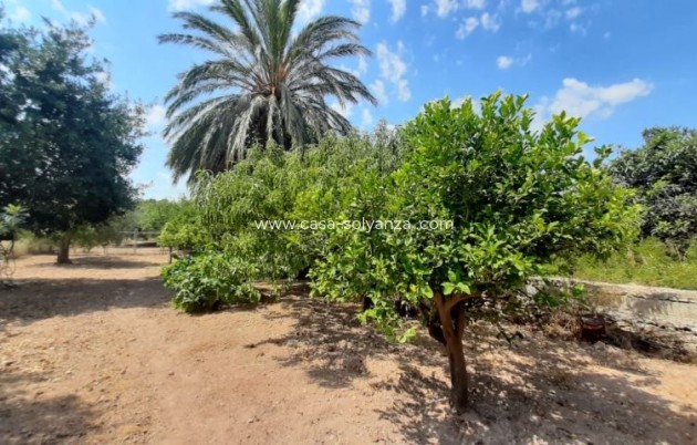 Revente - Villa - Macisvenda - Inland