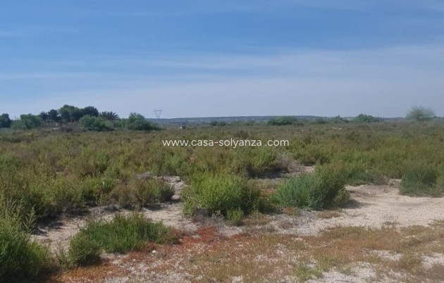 Revente - Land - La Hoya - La Hoya-daimes-el Derramador