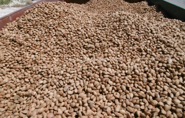 Revente - Land - Yecla - Inland