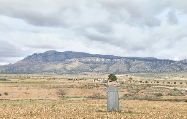 Revente - Villa - Torre Del Rico - Inland
