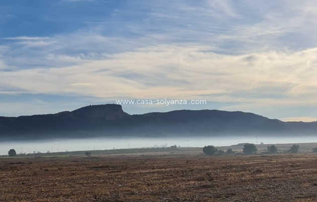 Herverkoop - Land - Monóvar - Inland