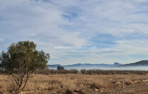 Herverkoop - Land - Monóvar - Inland