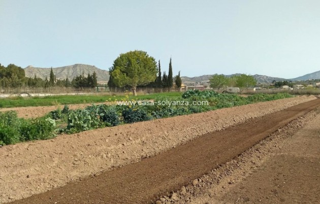 Revente - Villa - Aspe - Inland