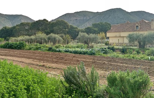 Revente - Villa - Aspe - Inland