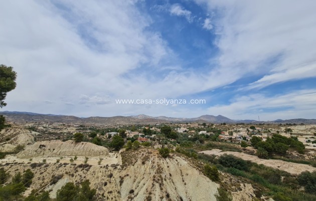 Reventa - Other - Abanilla - Inland