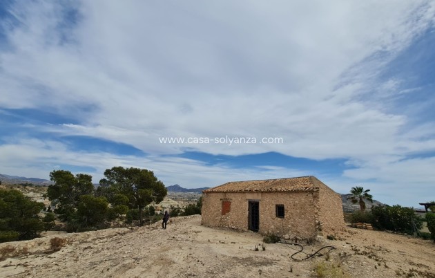 Reventa - Other - Abanilla - Inland