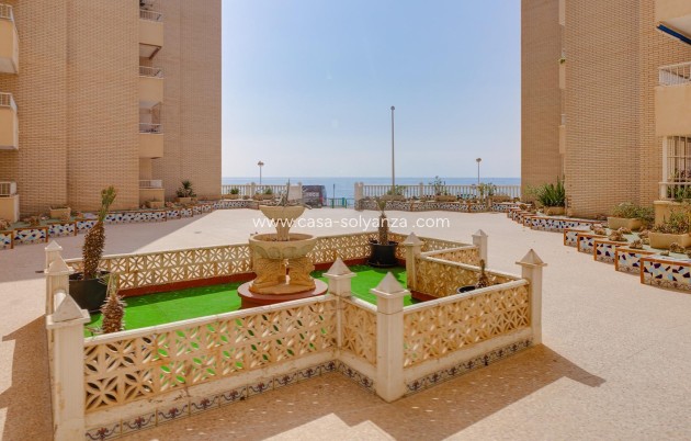 Revente - Appartement - Torrevieja - Center