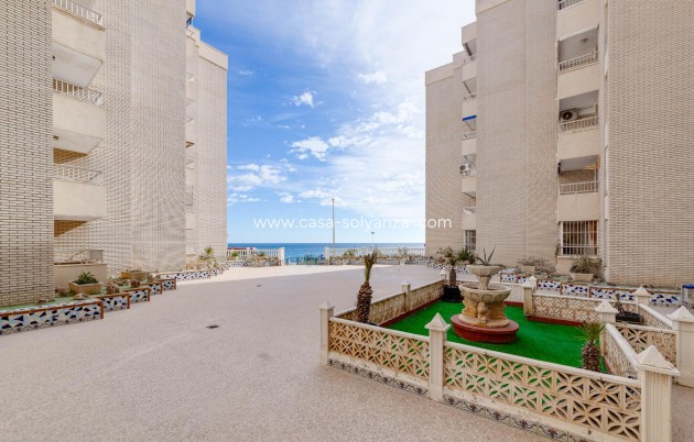 Revente - Appartement - Torrevieja - Center
