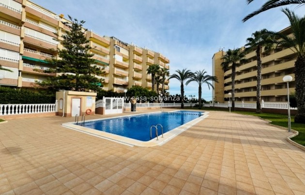 Herverkoop - Appartement / flat - La Mata - Costa Blanca