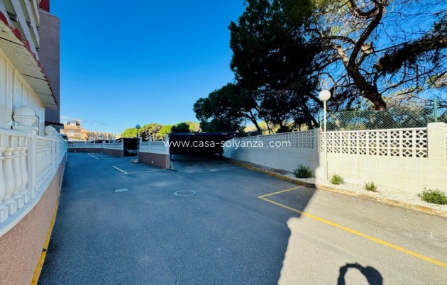 Herverkoop - Appartement / flat - La Mata - Costa Blanca