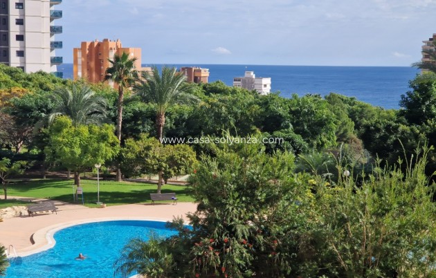 Revente - Appartement - Benidorm - Costa Blanca