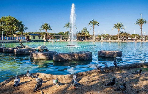 Revente - Appartement - Torrevieja - Parque Las Naciones