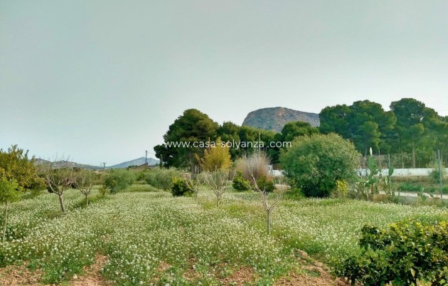 Revente - Villa - Aspe - Inland